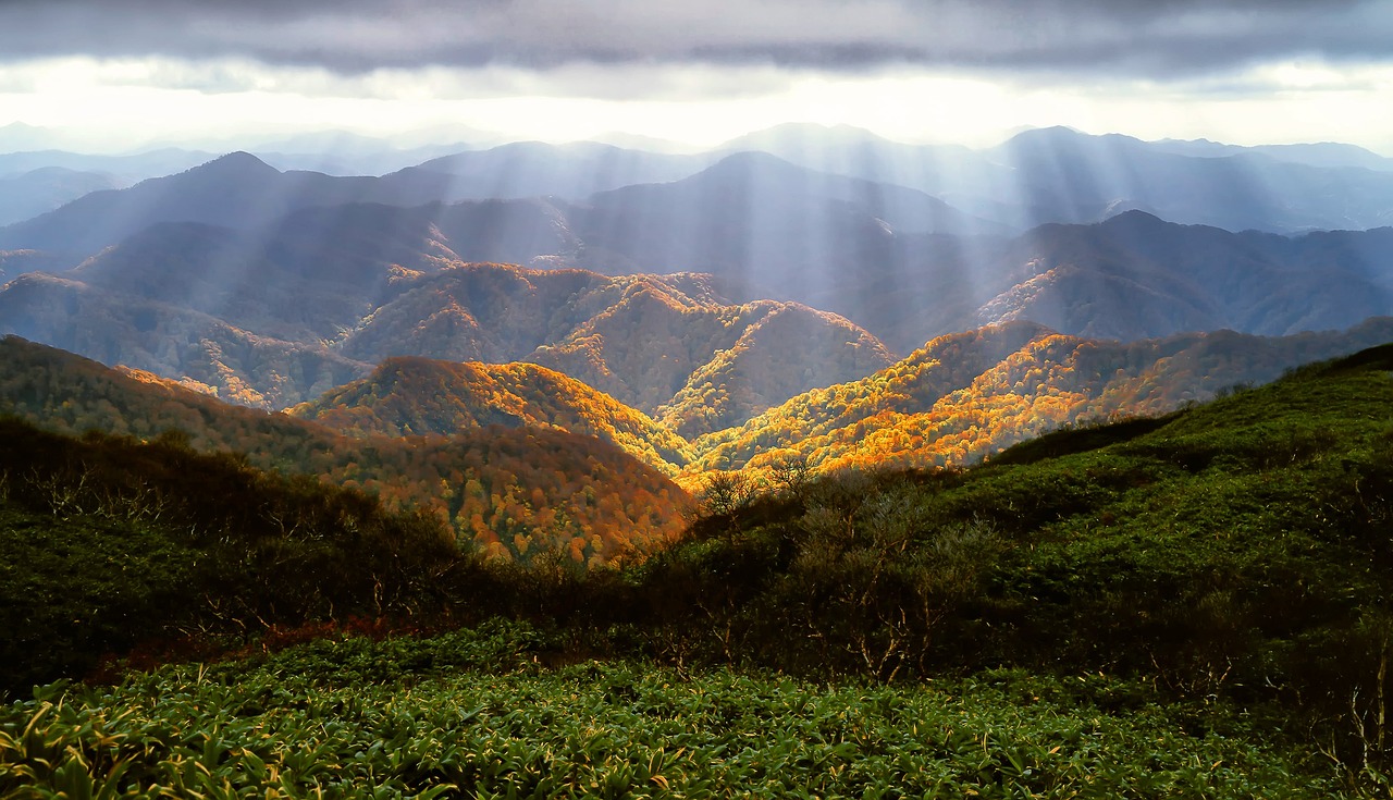 autumn, mountains, shirakami-sanchi-2183489.jpg